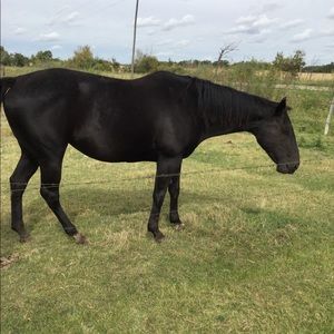 Meet your Posher, Jill